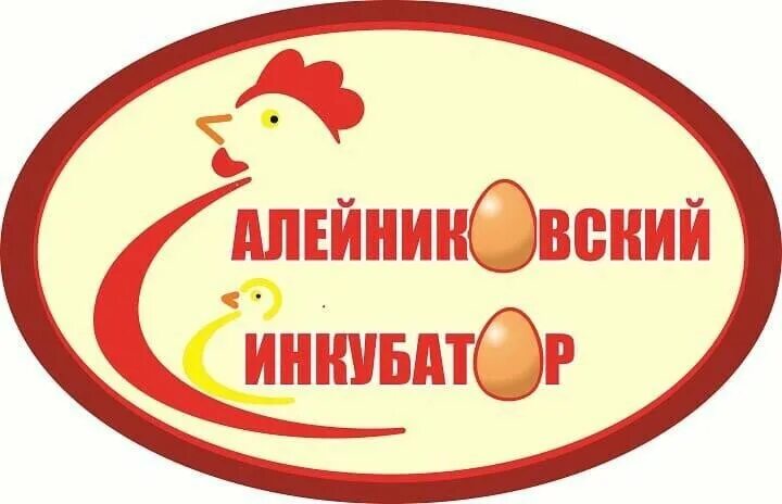 Https://инкубатор ускунаси. алейниковский инкубатор. алейниковский инкубатор россошь. воронежский инкубатор. алейниковский инкубатор россошь.