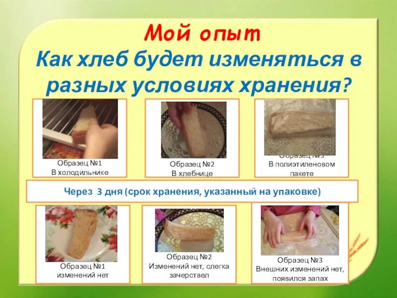 Что мой опыт. Эксперимент с хлебом. опыты с хлебом. опыты с хлебом для дошкольников. эксперимент условия хранения хлеба.