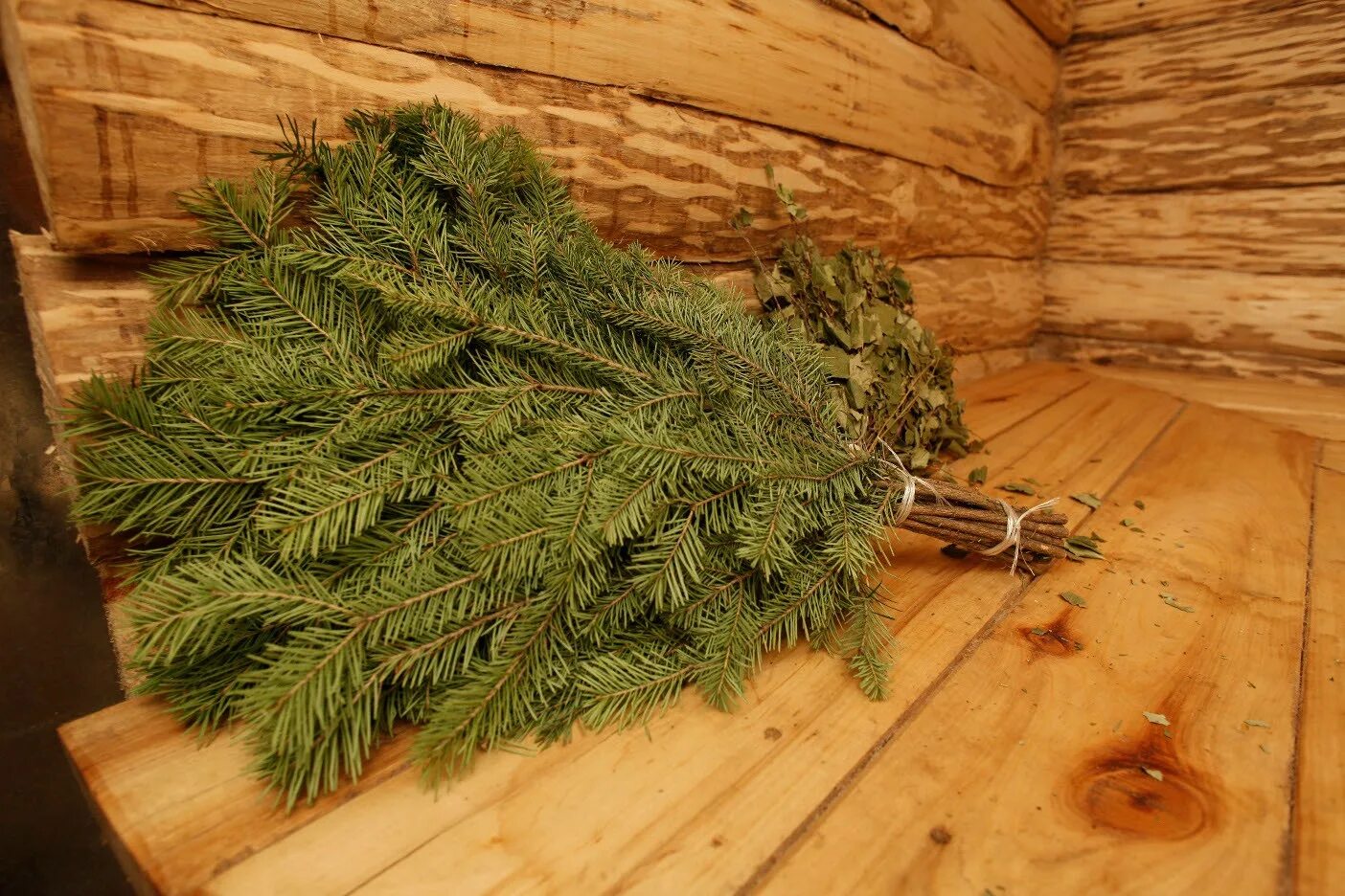 Кедр сибирский сосна сибирская pinus sibirica. Лесопарк ёлочки (лес за кутузово). Пихта можжевельник лиственница. Пихта семенова. Пихта сибирская тайга.