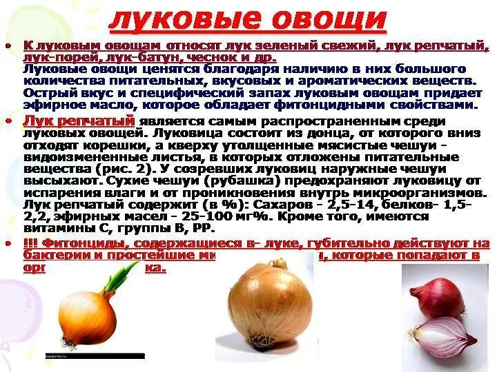 Можно ли ребенку давать лук. Луковые овощи классификация. характеристика луковых овощей. что относится к луковым овощам. луковые овощи доклад.
