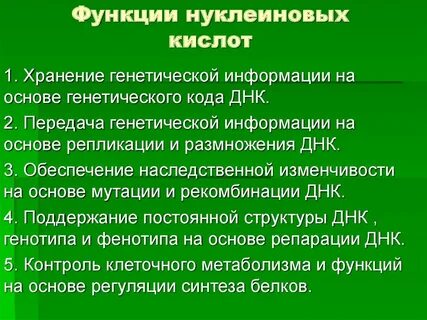 Какова роль в клеток в организме