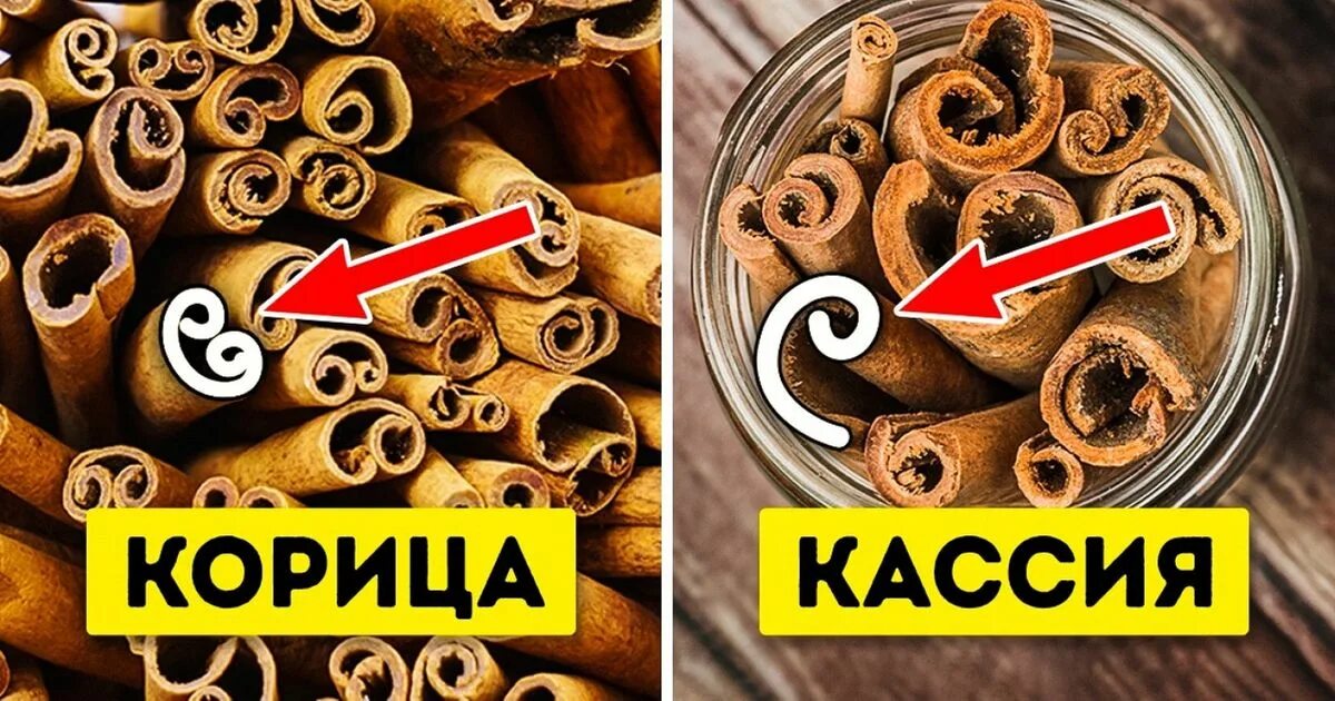 Кассия как отличить. Корица цейлонская и Кассия отличия. Отличие корицы от кассии в палочках. Корица настоящая. Заменитель корицы.