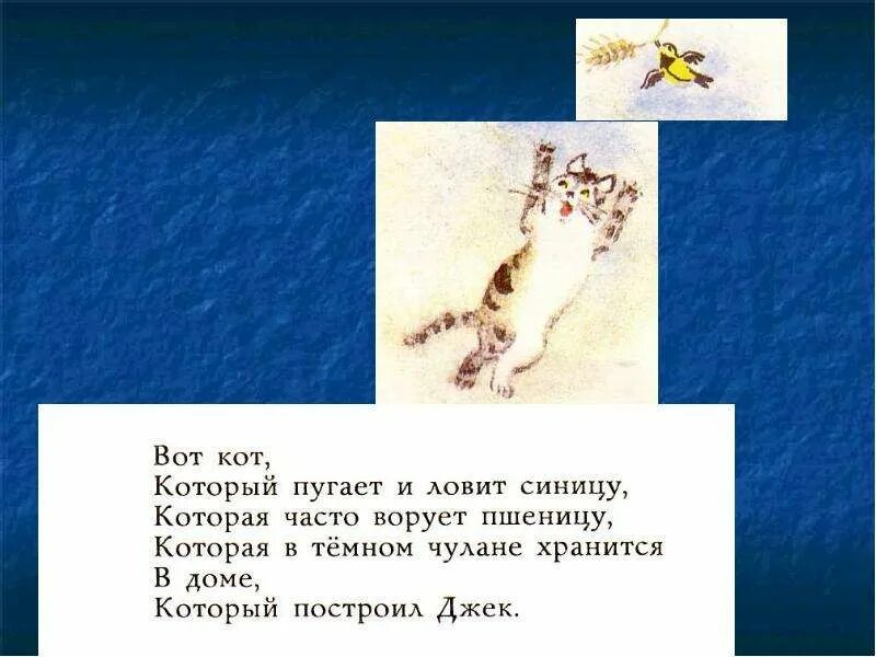 В темном чулане хранится. Кот который пугает и ловит синицу. вот кот который пугает и ловит. птица синица которая часто ворует пшеницу. которая часто ворует пшеницу которая в тёмном чулане хранится.
