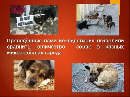 Проекты помощи бездомным