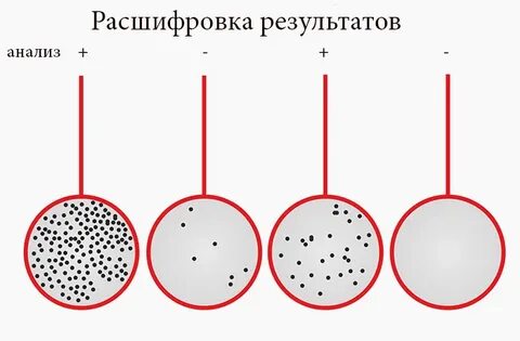 Ф и т тест