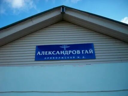 Гаи в александрове