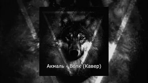 Между нами волки как будто залетают текст