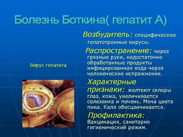 Вирусный гепатит (болезнь Боткина). Болезнь Боткина симптомы. Эпидемический гепатит возбудитель. Гепатит а последствия