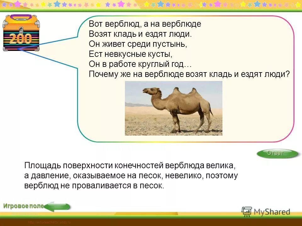 Мой сын ездил на верблюде. Мой сын ездил на верблюде