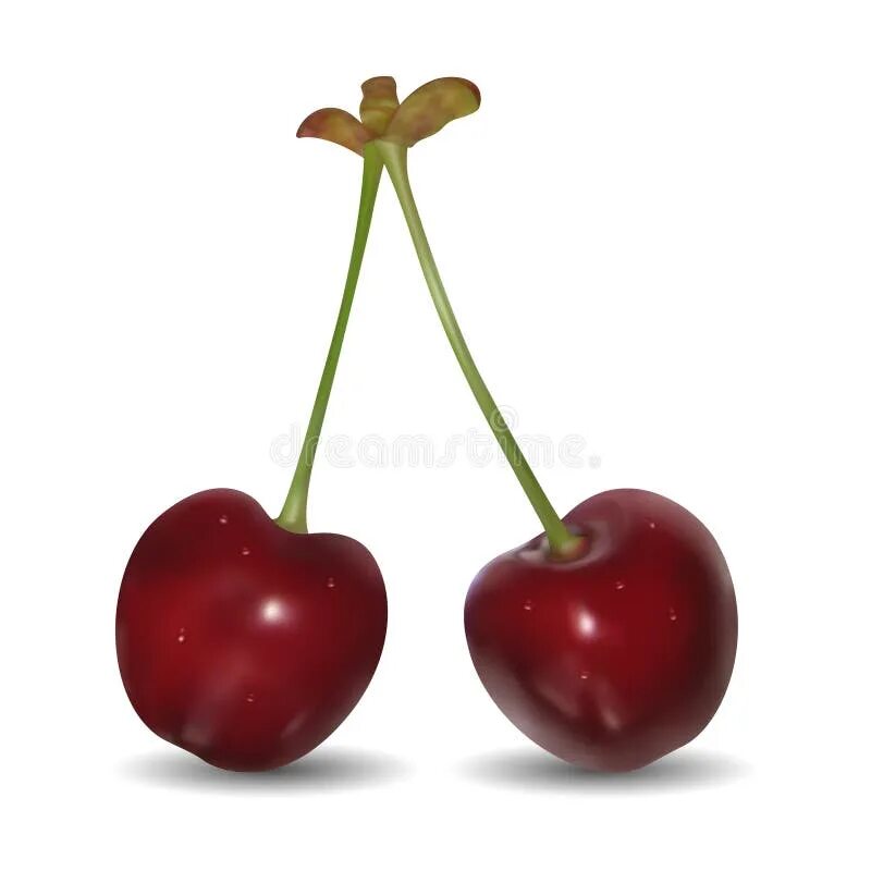 B a pair of. Пара вишен. pair.