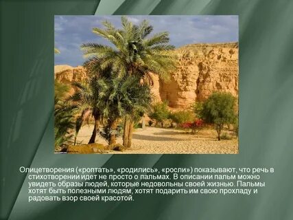 Три пальмы краткое содержание