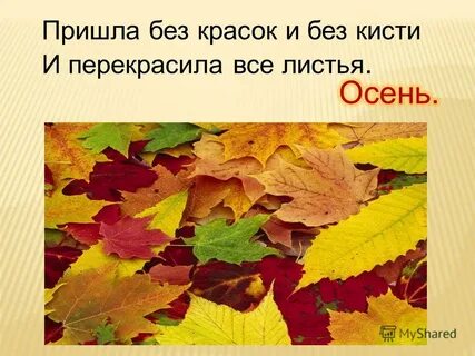 Осень длинной тонкой кистью перекрашивает листья