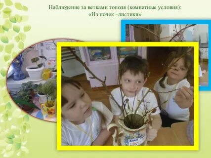 Край наблюдение