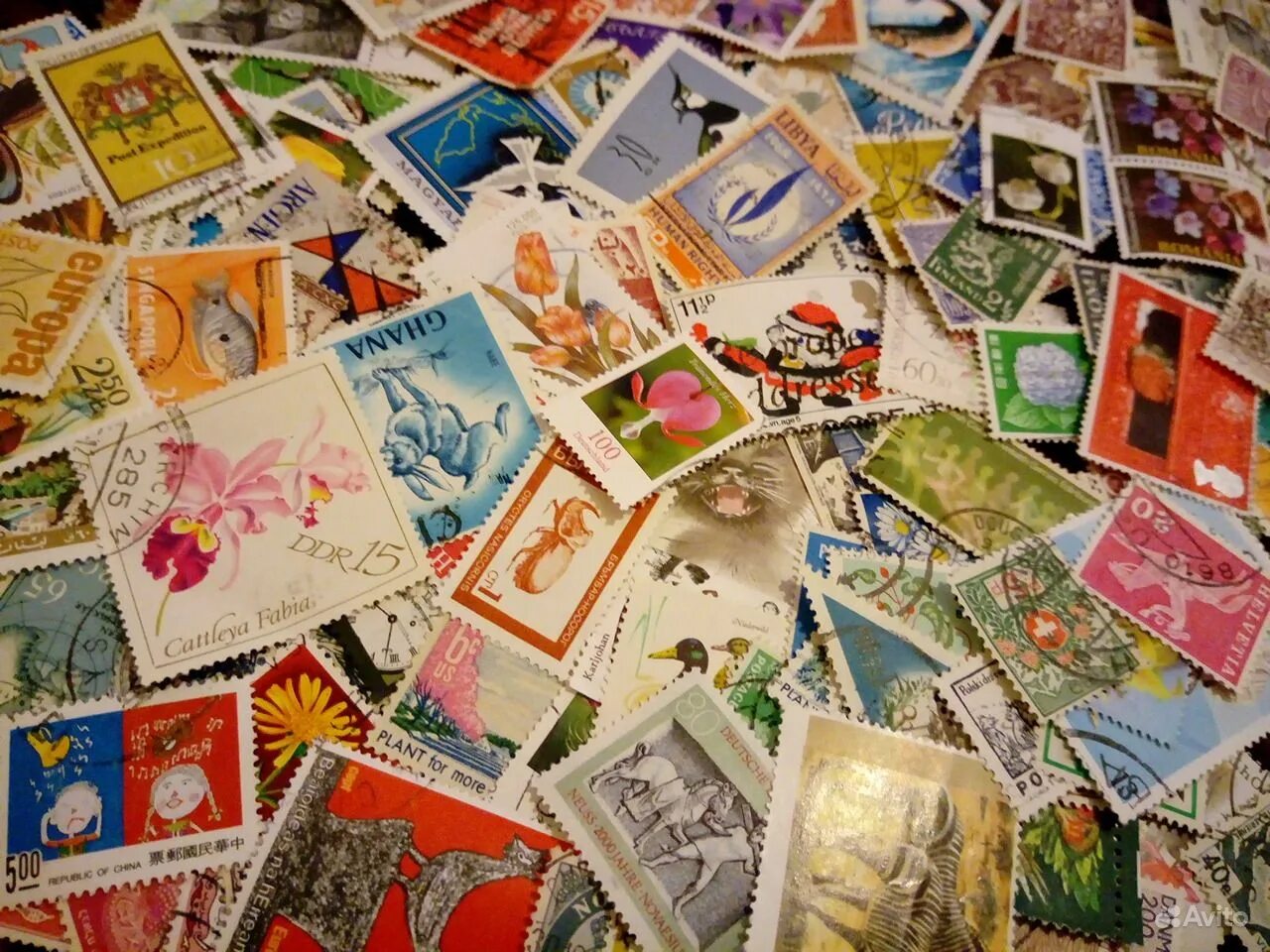 Соберу коллекцию марок. Коллекционирование почтовых марок. Коллекция советских марок. Коллекция марок. Коллекционер марок.