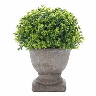 Mini plant
