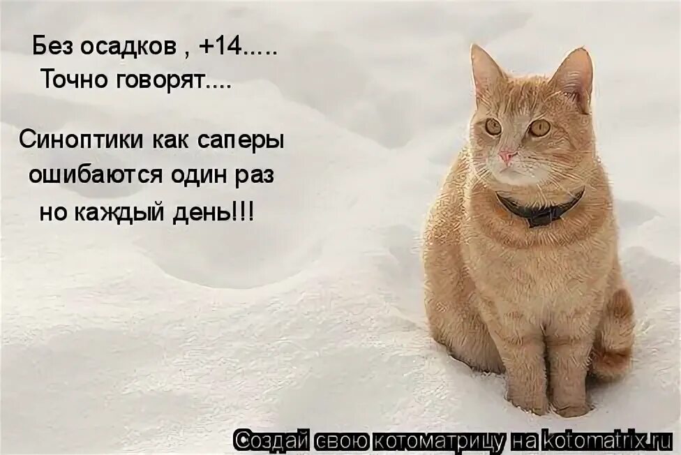 Синоптики ошибаются один. Почему появляется радуга после дождя. Упорство и упертость. Синоптики ошиблись. Синоптики прикол.