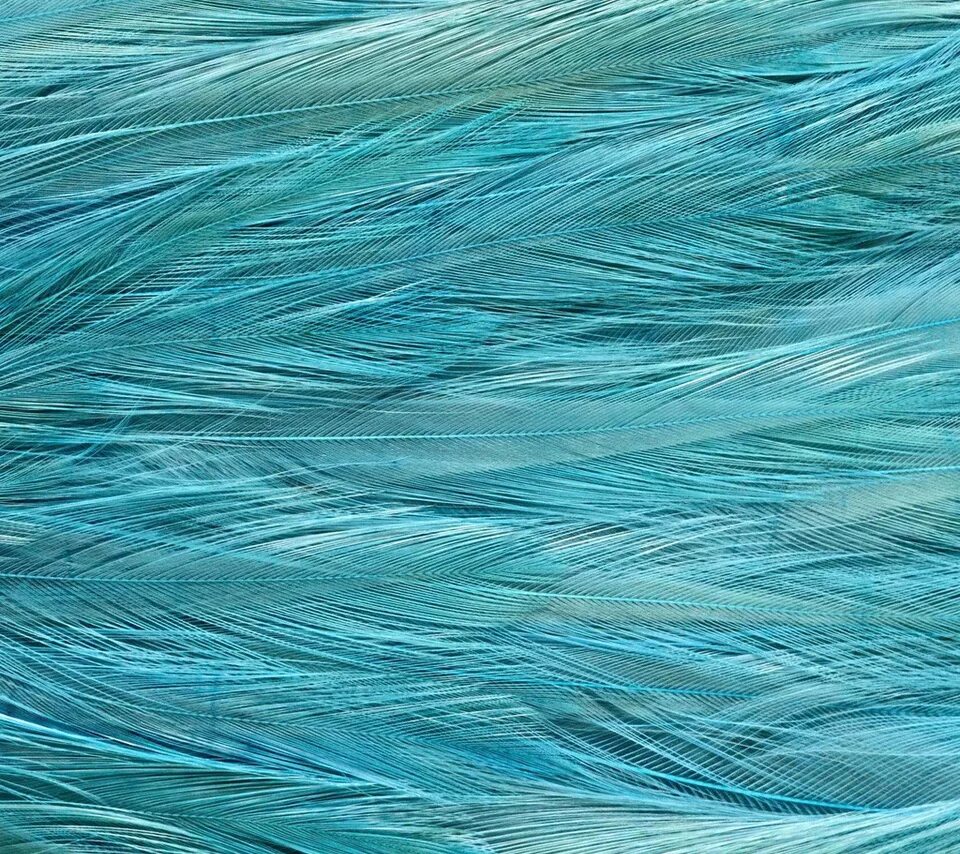 Нитки марине. Бирюзовые перья. Цвет морской волны. Мятный фон перья. Серо голубой фон с волнами.