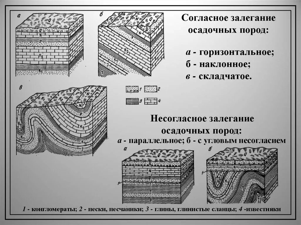 Горизонтальное залегание осадочных горных пород. Формы залегания осадочных горных пород Пликативные. Первичные формы залегания осадочных пород. Формы нарушенного залегания осадочных горных пород. Слой породы 5