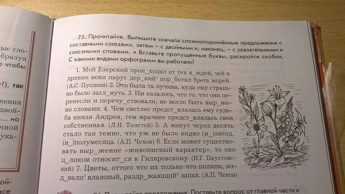 2 предложения с составными союзами. Предложения с составными союзами. сложные предложения с составными союзами. 10 предложений с составными союзами. 10 сложных предложений с составными союзами.