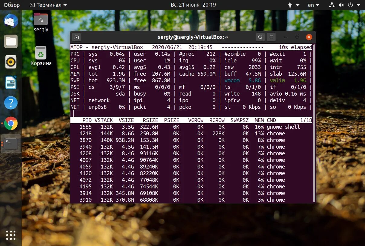 Grep linux команда. Linux список процессов. В линукс tree. Список процессов в linux. Команда top ubuntu.