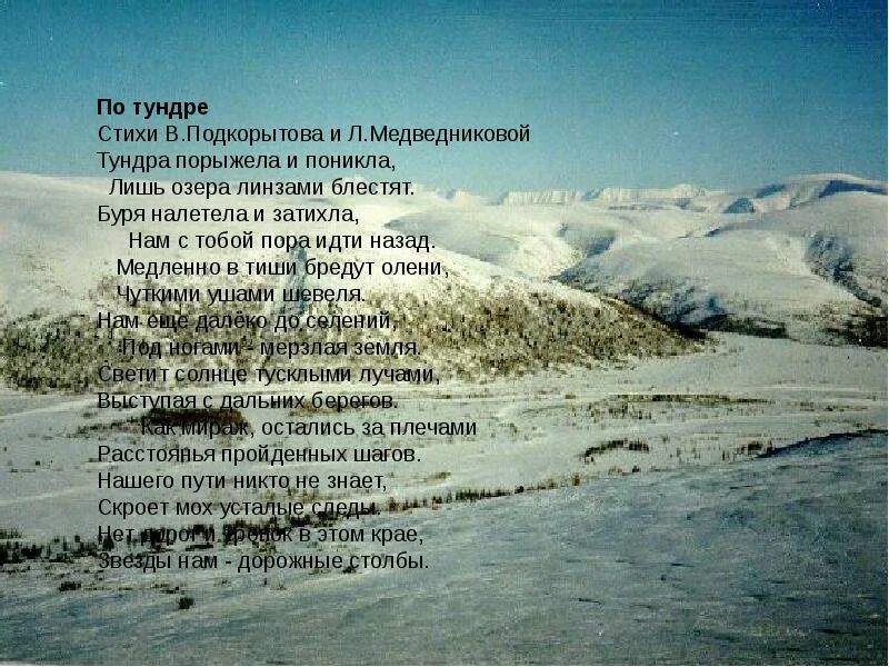 Стихи о тундре. Стихи о Северной природе. Стихи про тундру для детей.