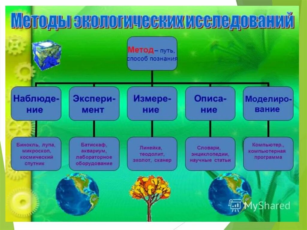 План урока экология. Методы экологических исследований. Методы изучения экологии. Методы исследования в экологии. Методы этологических исследований.