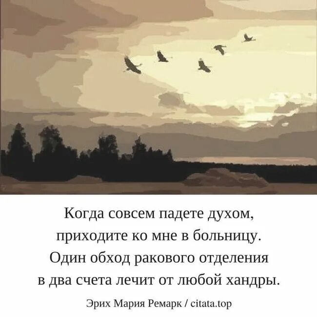 Павший духом. Когда совсем падете духом приходите. один обход ракового отделения в два счета лечит от любой хандры. когда совсем падете духом приходите в больницу один обход. когда совсем падёте духом приходите ко мне в больницу.