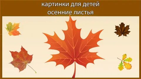 Про листья осенние для детей
