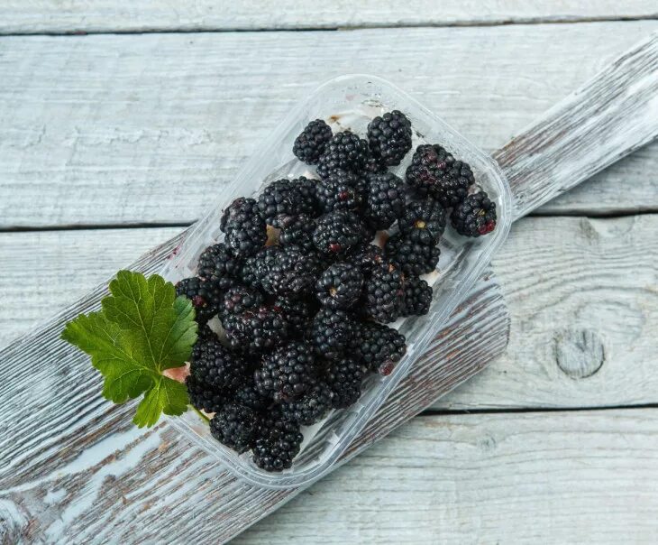 Мармелад со вкусом малины. 200 гр ежевики. Стики с ежевикой. Со вкусом ежевики. Со вкусом ежевики.