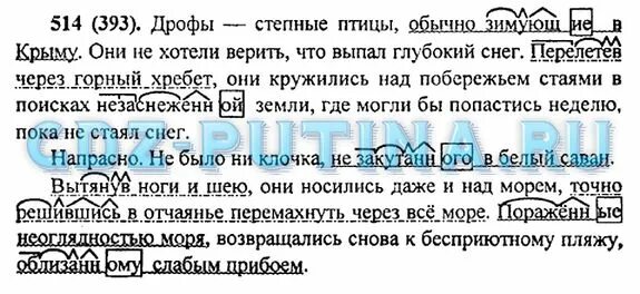 Дрофа степная птица обычно зимующая. Дрофа степная птица обычно. дфоры степные птицы обычно зимующие в крыму. дрофа степная птица обычно зимующая в крыму эти.