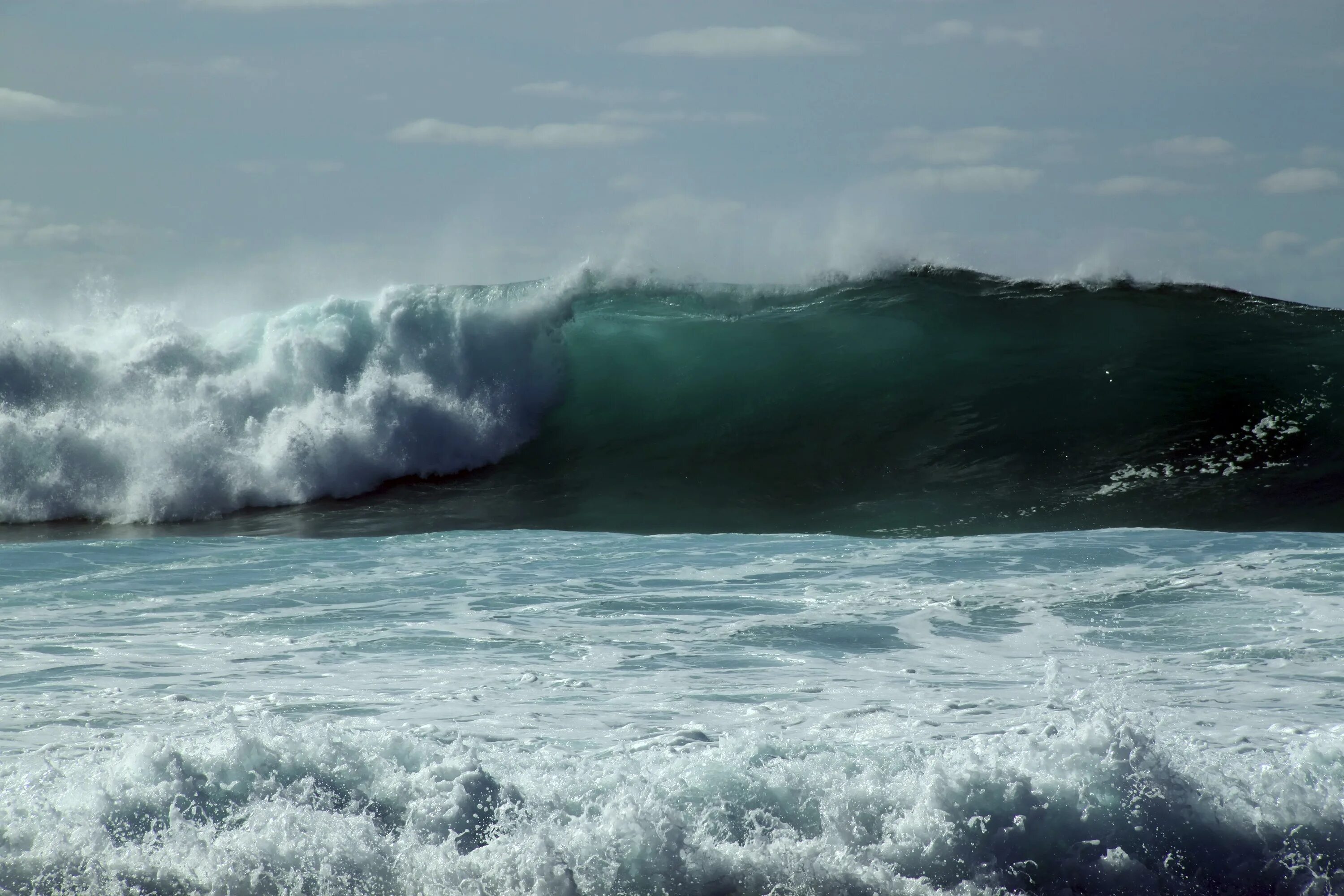 We are the wave