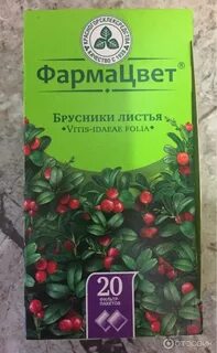 Сбор брусники 2024