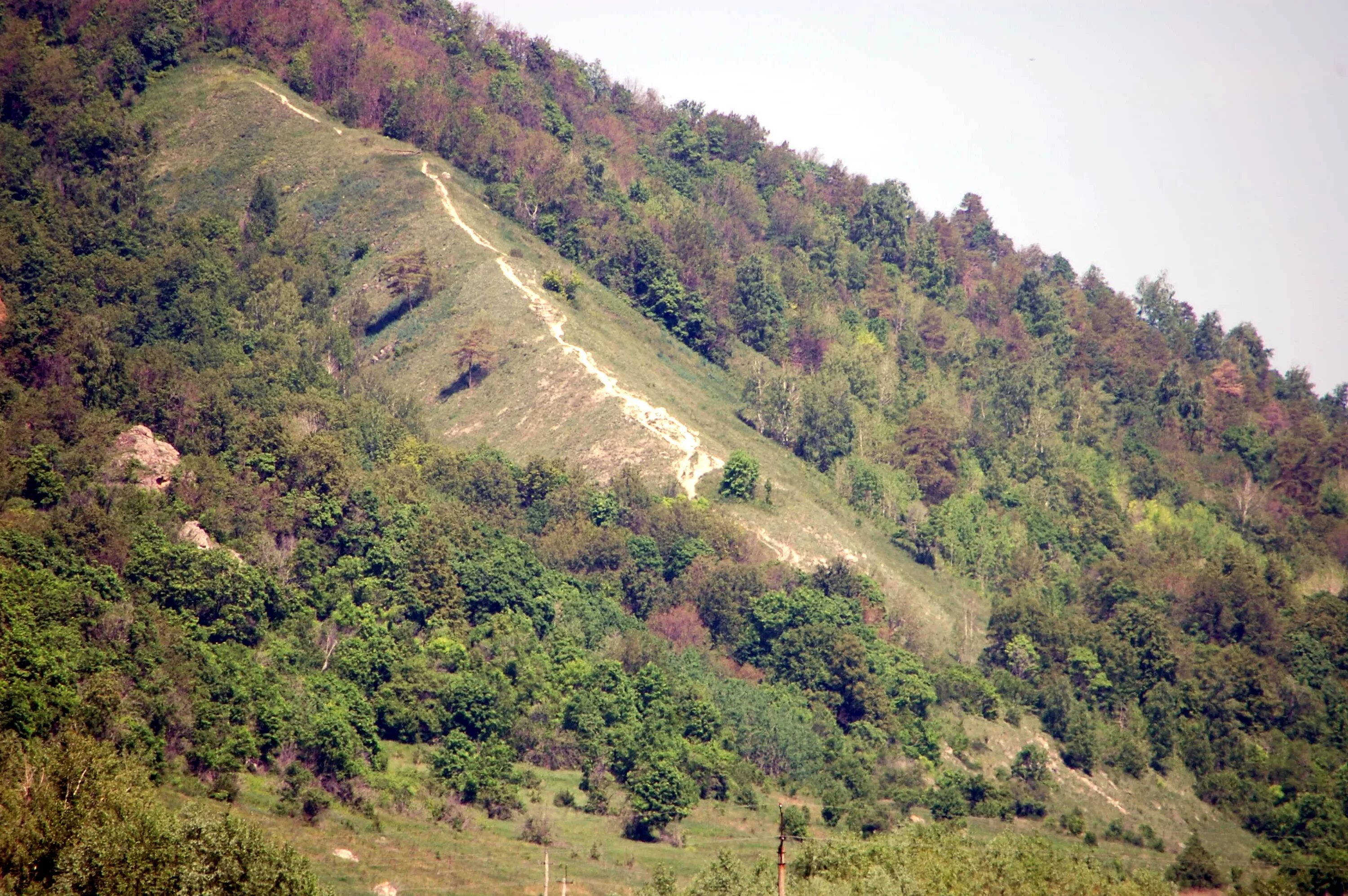 Самарская лука село Подгоры