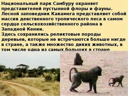 Особо охраняемые природные территории африки