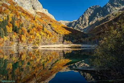 Кардывач
