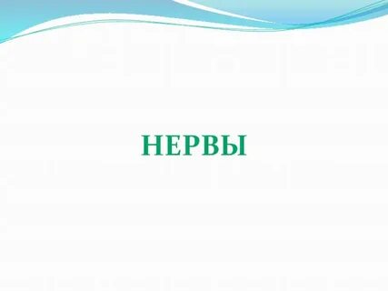 Буквы нервы
