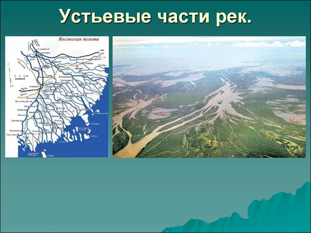 Устьевые части рек. Части реки Дельта. Волжская Дельта. Устьевые участки рек. 12 части рек