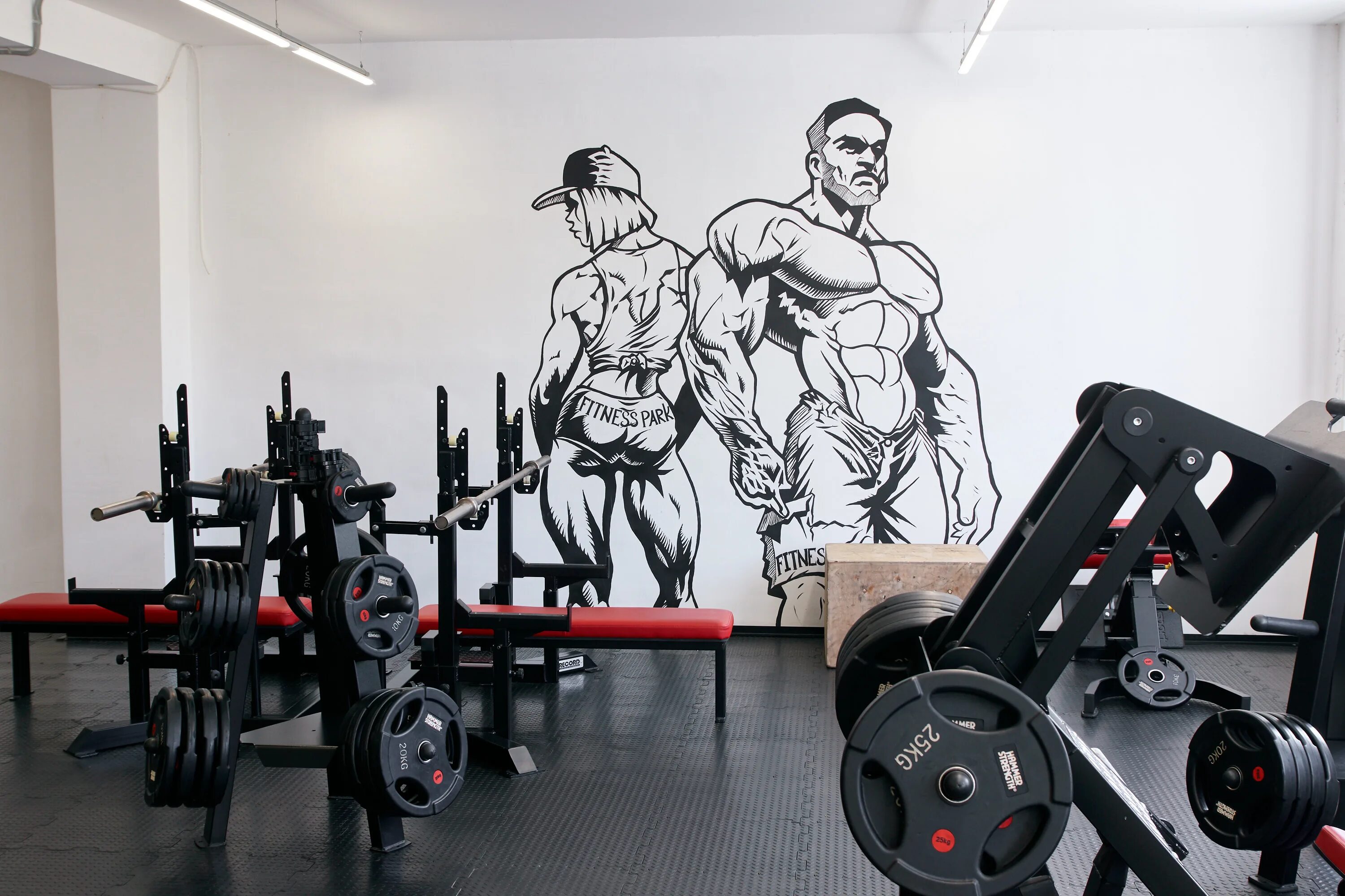тренажерный во владимире. тренажерный во владимире. тренажерный во владимире. стадион торпедо тренажерный зал. рок фитнес.