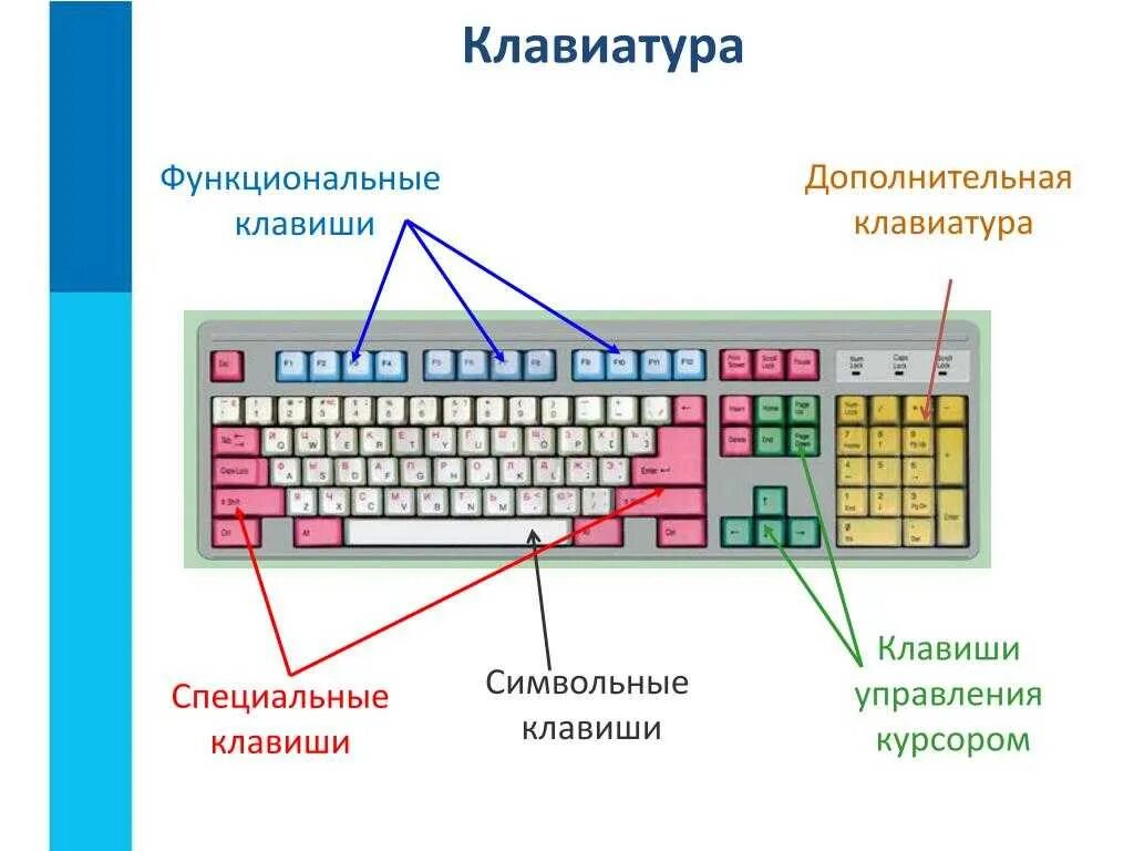 Клавиши дополнительной клавиатуры Информатика 5. Клавиатура схема группы клавиш функциональные. Какие кнопки управления на клавиатуре компьютера. Схема клавиатуры компьютера какая кнопка.