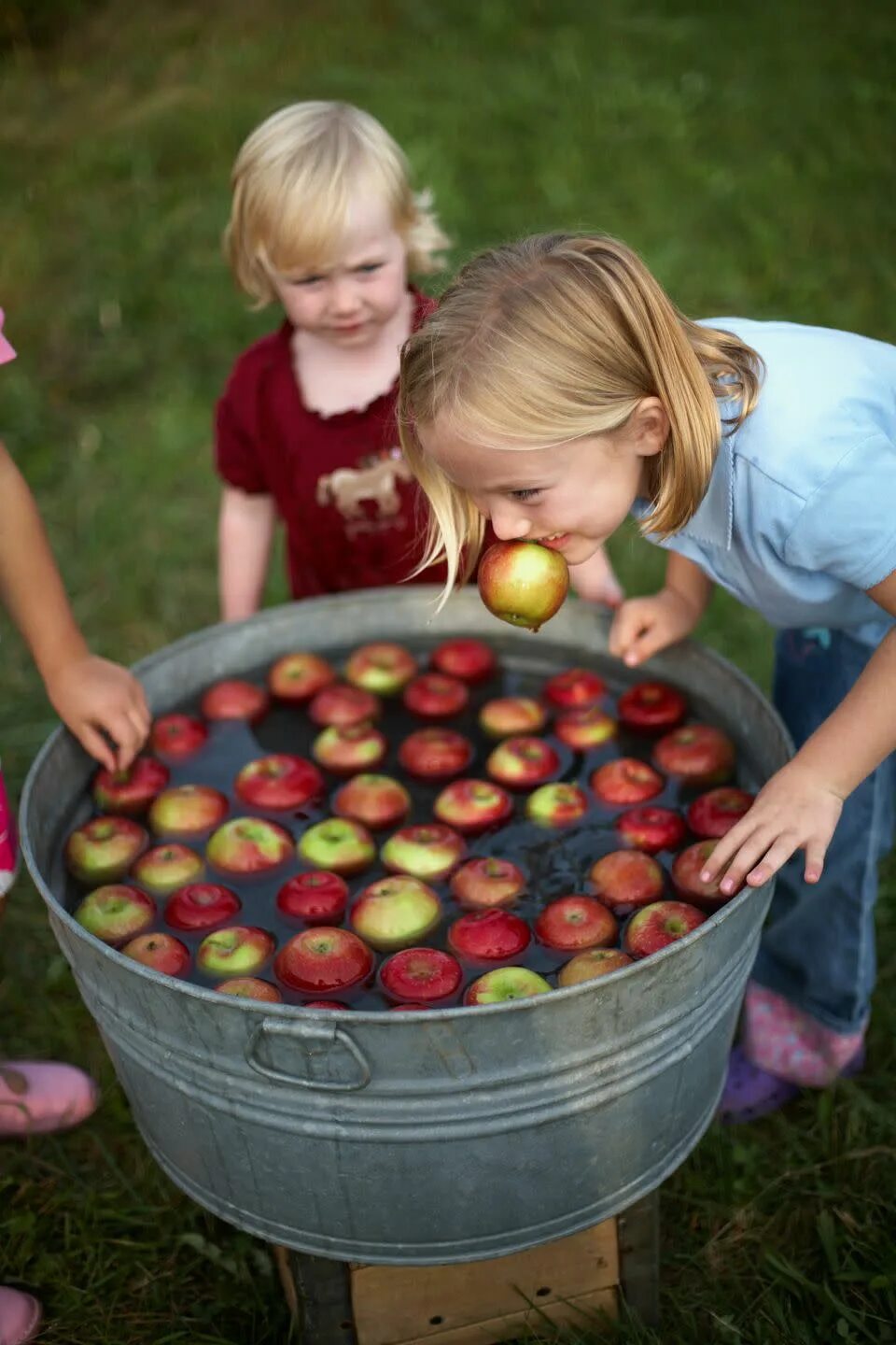 Model bobbing only 1.16 5. Bobbing for apples игра. bobbing for apples. bobbing for apples перевод. bobbing.