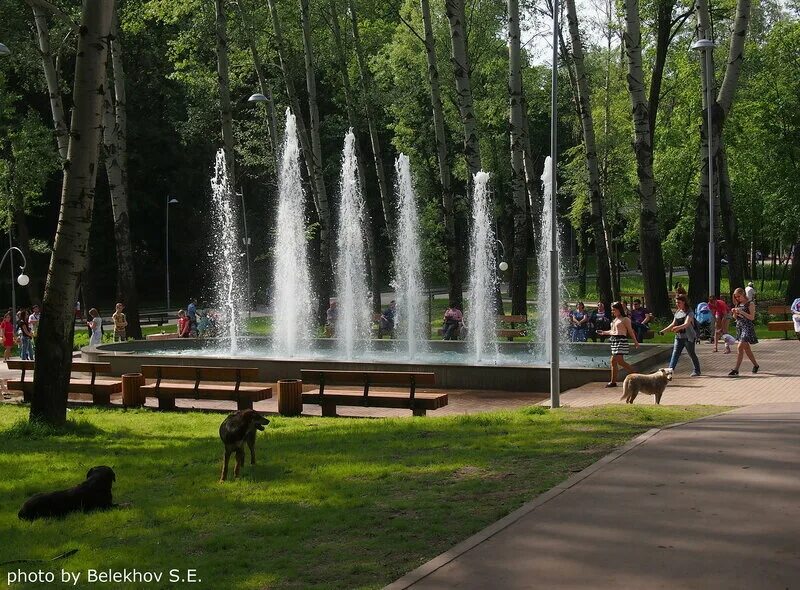 Рент парк воронеж. Парк Динамо Воронеж. Парк Динамо Воронеж площадка. Университетский парк Воронеж. Парк на Ломоносова Воронеж.