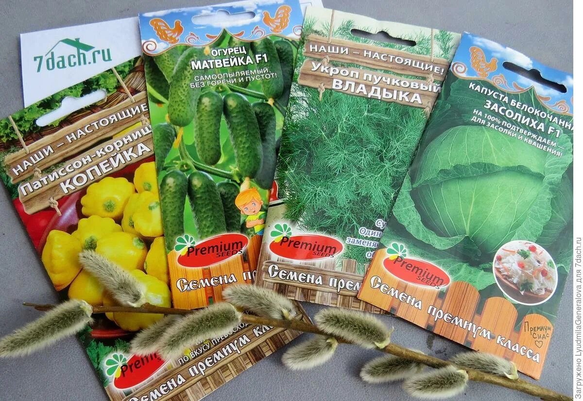 ооо «премиум сидс». семена премиум класса. семена русский огород кольчуга капуста белокочанная золотой гектар-1432 0. чиа семена ufeelgood (150 г). семена редис "черный шоколад" f1.