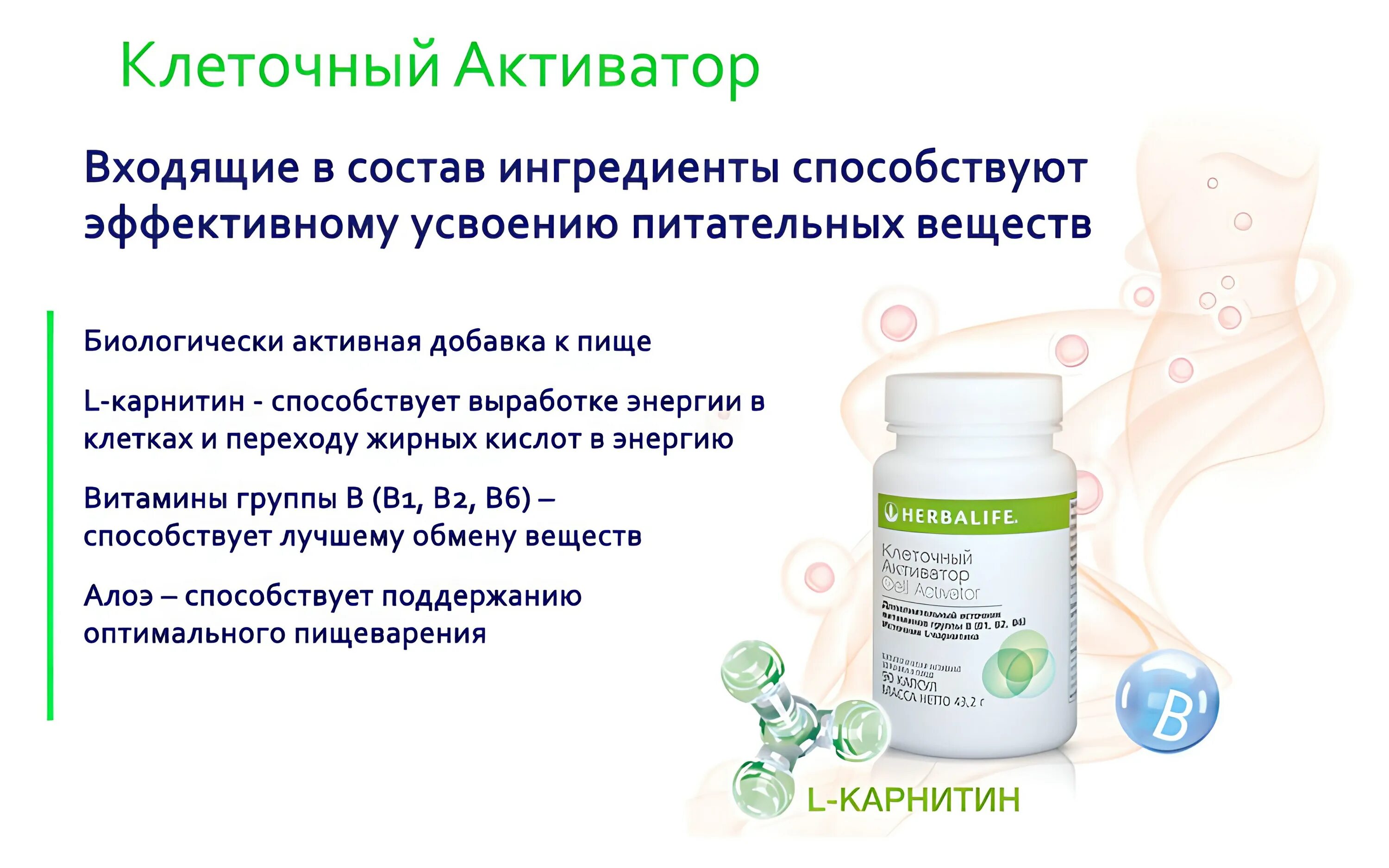 Как использовать активатор. Клеточный активатор herbalife. термо гербалайф клеточный активатор. клеточный активатор целлюлоз гербалайф. витамины гербалайф клеточный активатор.