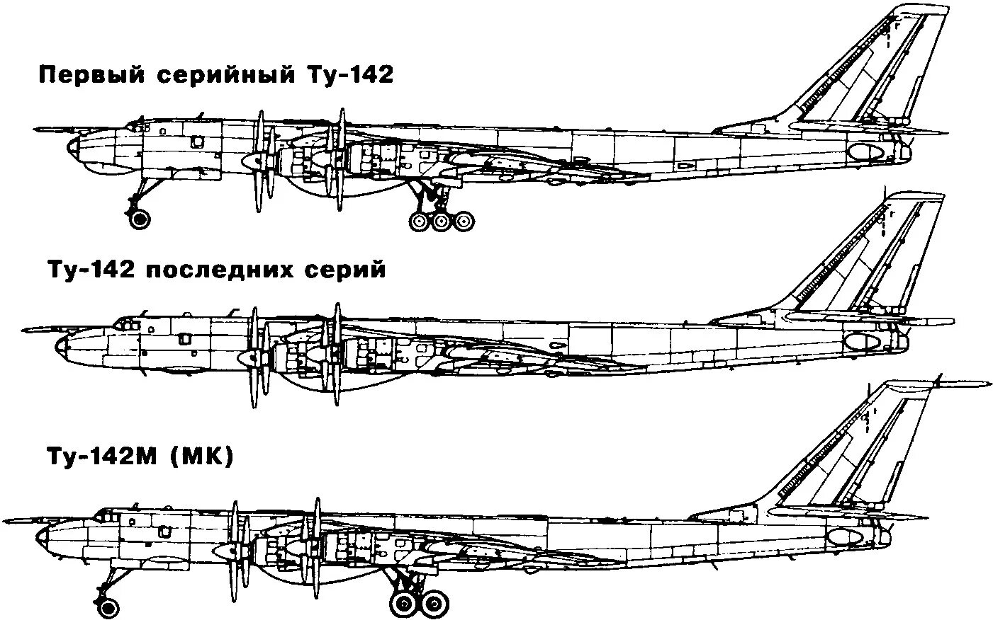Туполев ту-142. Ту-142мз чертеж. Ту-142 м схема. Ту-95мс шасси. Б 36 размеры