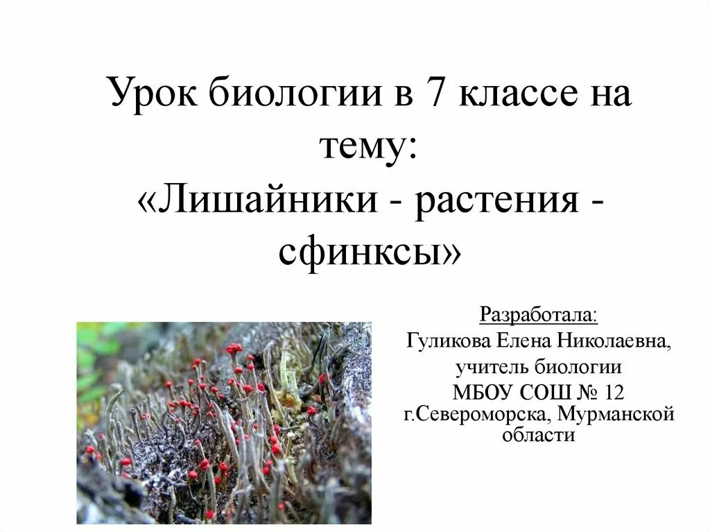 Лишайники сфинксы. Растение сфинкс лишайник. Почему лишайники называют растениями сфинксами. Почему Тимирязев назвал лишайники растениями сфинксами. Впр 5 класс биология лишайники растения животные