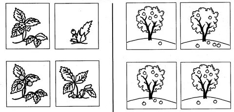 Существенный признак стакана. Определи что будет. Рассказ по картинкам. Деревья задания для дошкольников. Определи что будет.
