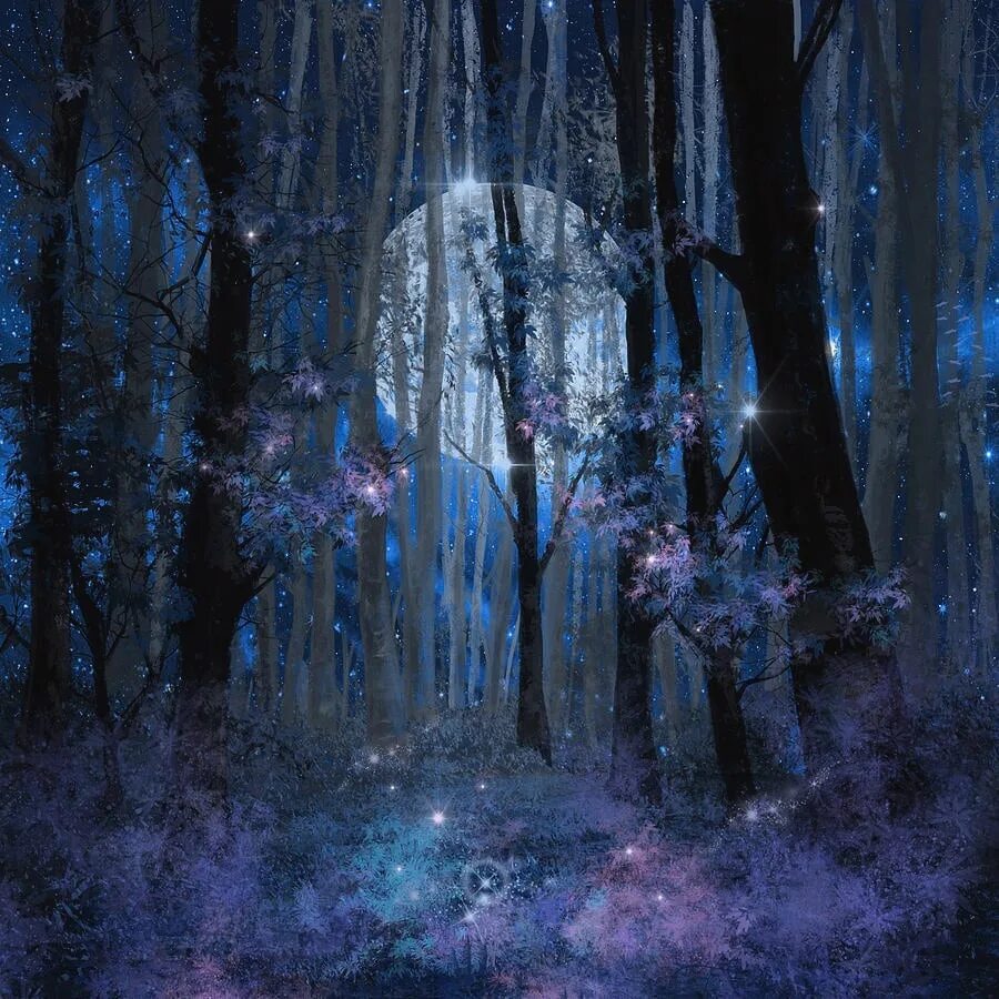 Ночной сказочный лес. Волшебный лес ночью. «Ночь в лесу». Сказочный лес ночью.