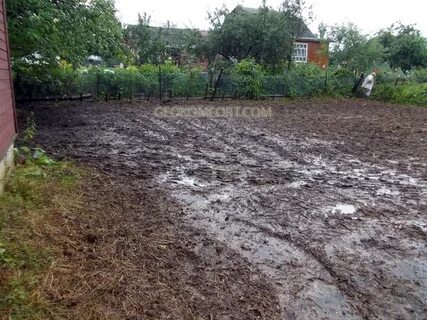 Сырой участок