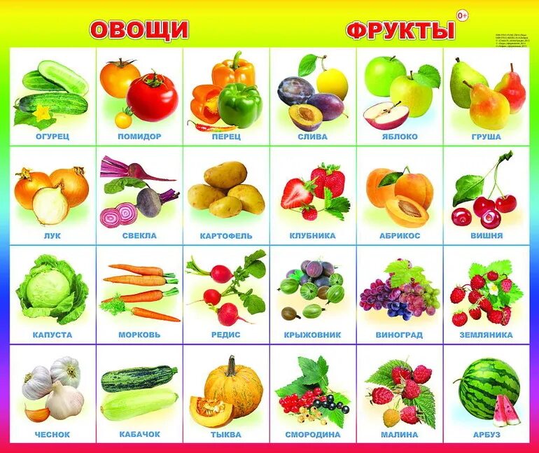 Учим овощи и фрукты