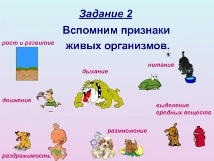 Признаки живых существ окружающий мир 3